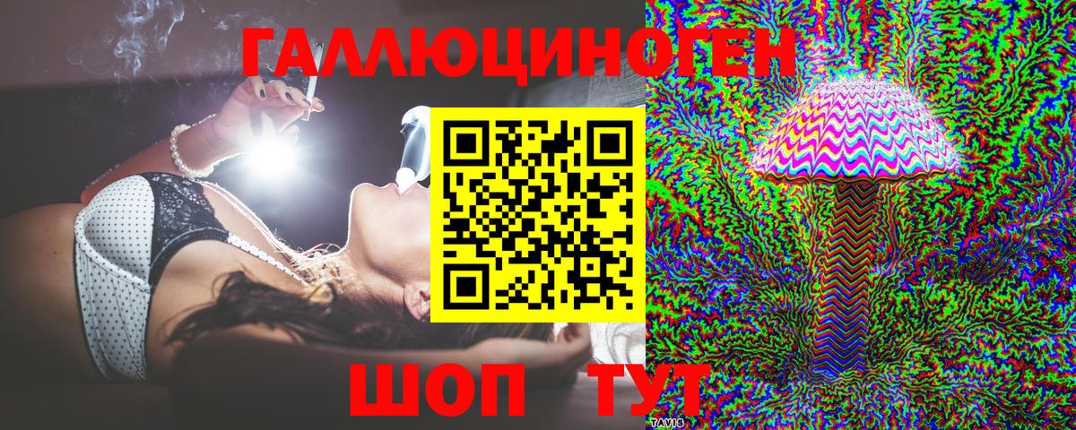 Псилоцибиновые грибы Psilocybe Лыткарино